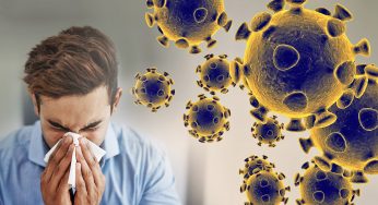 Coronavirus and death rate: An act of GOD to the animal abuse done by humans?