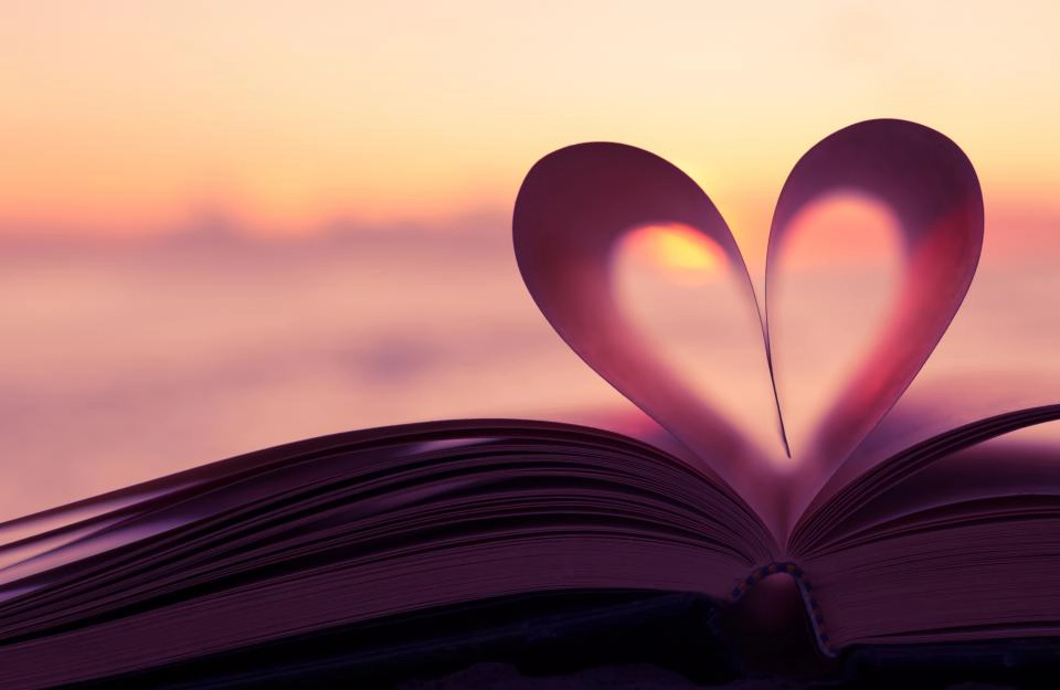 If Grass Can Grow Through Cement, Love Can Find You At Every Time In Your Life.