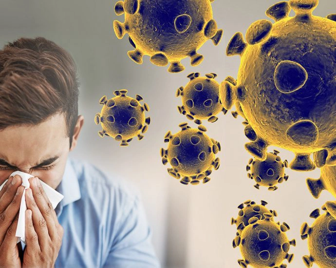 coronavirus meme