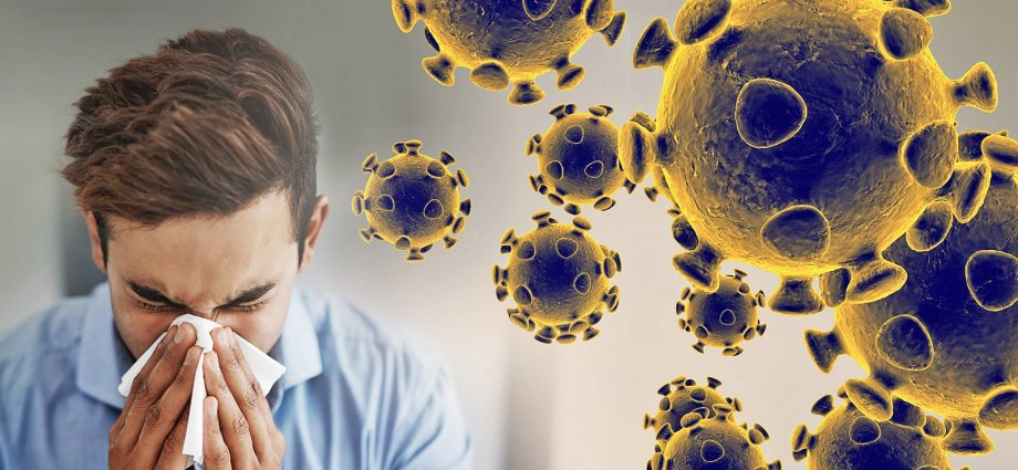 coronavirus meme