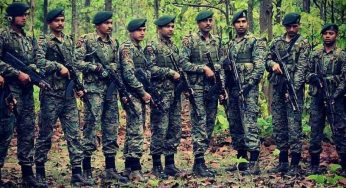 Cobra Commandos: Let’s know them today