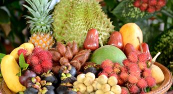 INDIAN FRUITS YOU SHOULD NEVER MISS