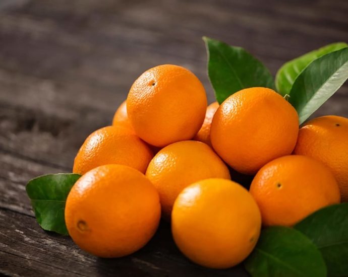oranges and nagpur