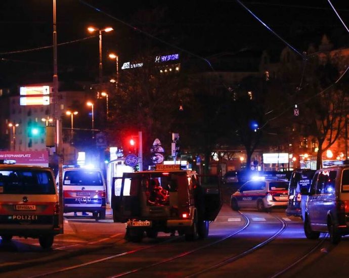 Vienna shootings